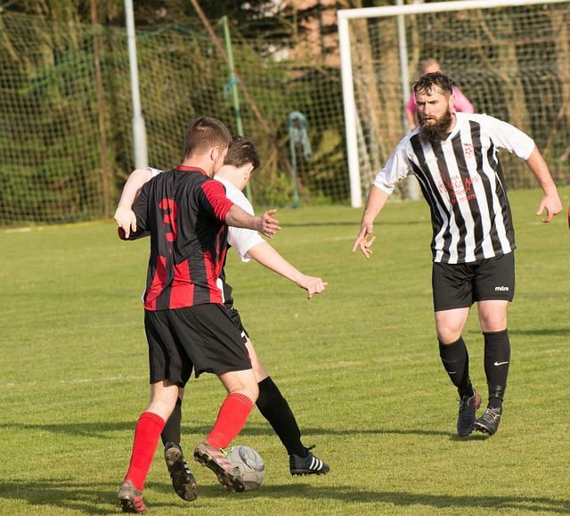 上展现出非 上展现出非