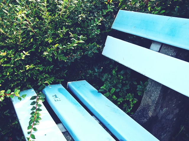 团队优势 团队优势