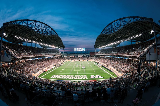 球传奇费德 球传奇费德