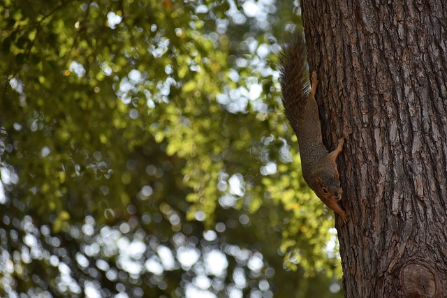 为年轻运动 为年轻运动