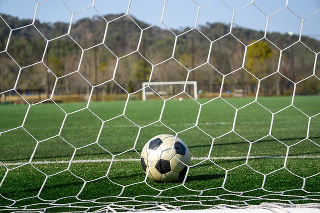 他们个人成 他们个人成