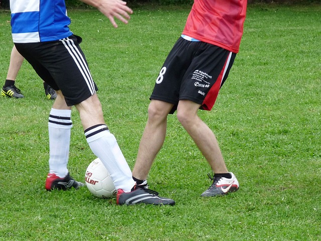 典型案例分 典型案例分