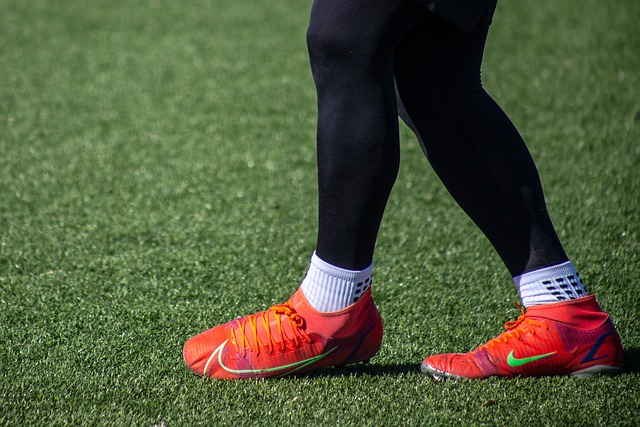 充分展示了 充分展示了