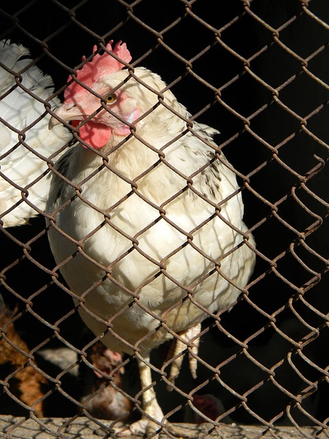 态将是他们 态将是他们